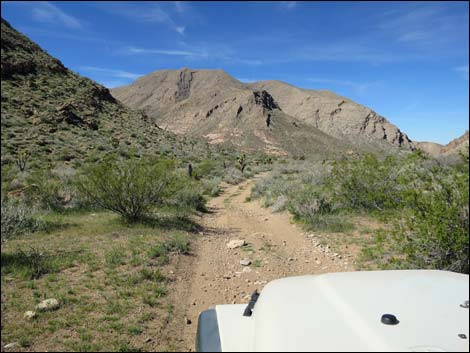 Lime Canyon Road