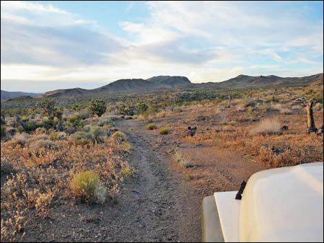 Lincoln Mine Road