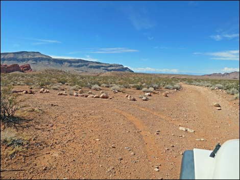 Mud Wash Shortcut Road