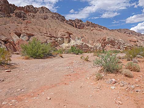 Mud Wash Road