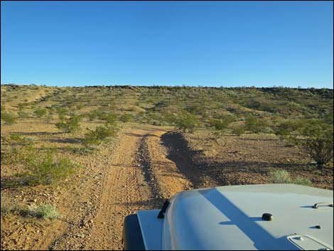 Narrows Road North