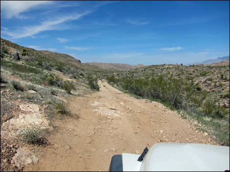 Red Bluff Spring Road