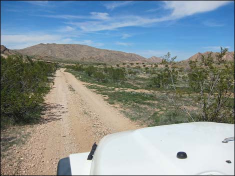 Red Bluff Spring Road