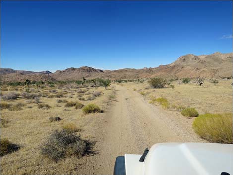 Red Bluff Spring Road