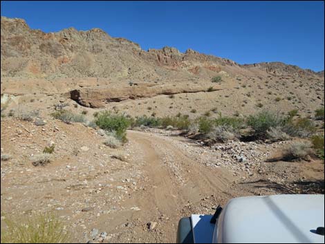 Red Bluff Spring Road