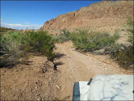 Red Bluff Spring Road