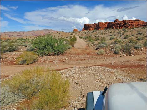 Red Bluff Spring Road