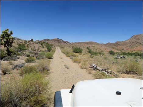 Red Bluff Spring Road