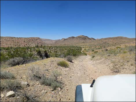 Red Bluff Spring Road