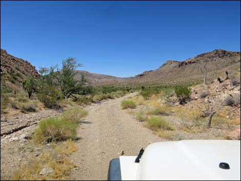 Red Bluff Spring Road