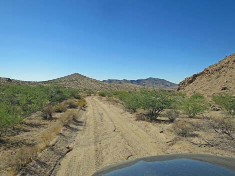 Red Bluff Spring Road