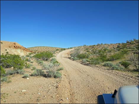 Red Bluff Spring Road