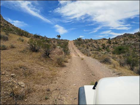 Red Bluff Spring Road