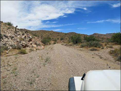 Red Bluff Spring Road