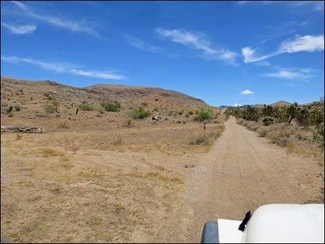 Red Bluff Spring Road