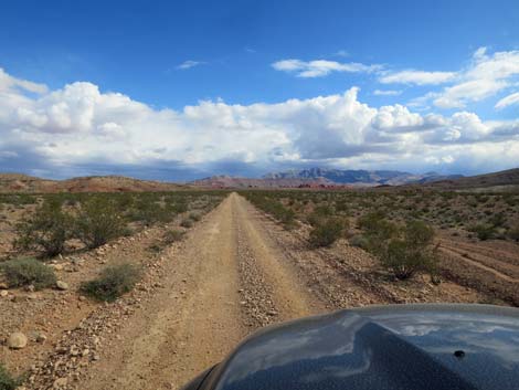 Red Bluff Spring Road