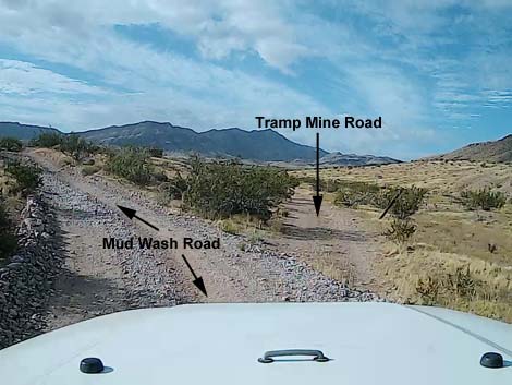 Tramp Mine Road