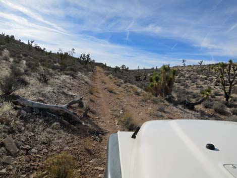 Uranium Ridge Road