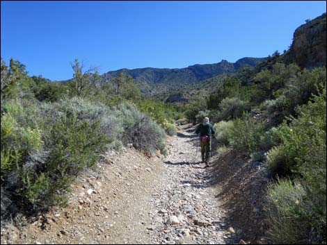 Virgin Peak Road