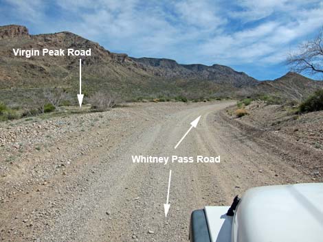 Whitney Pass Road