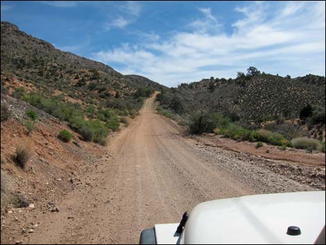 Whitney Pass Road