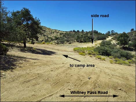 Whitney Pass Road