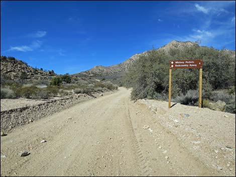 Whitney Pass Road