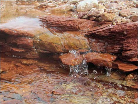 Red Rock Springs