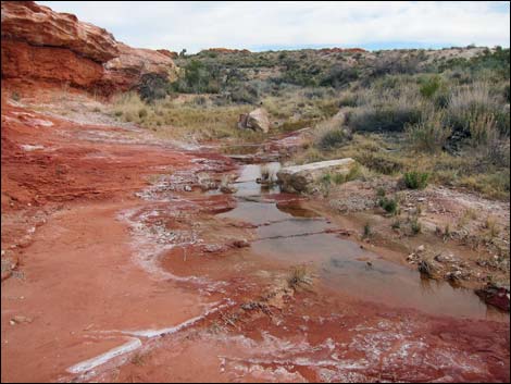 Red Rock Springs