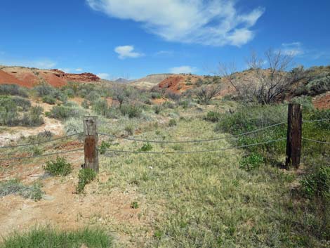 Red Rock Springs