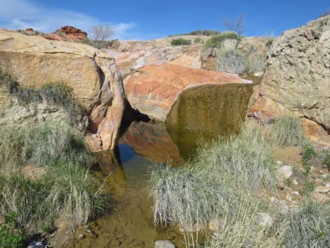 Red Rock Springs