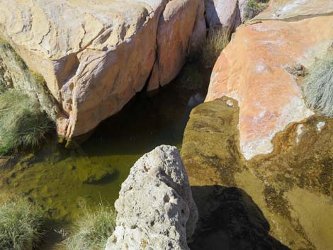 Red Rock Springs