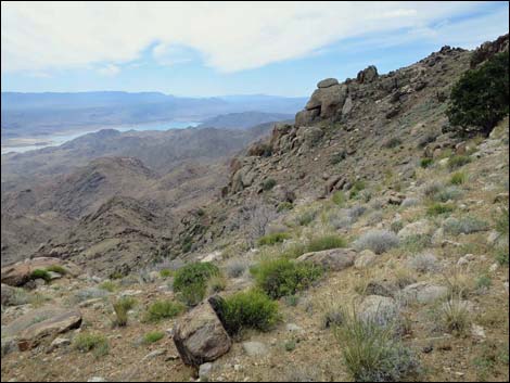 Shark Tooth Peak