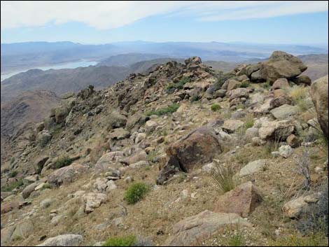 Shark Tooth Peak