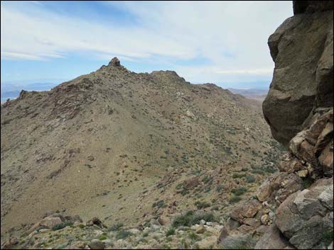 Shark Tooth Peak