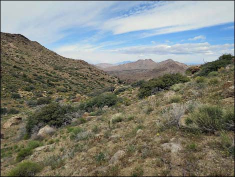 Shark Tooth Peak