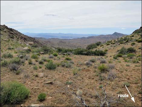 Shark Tooth Peak