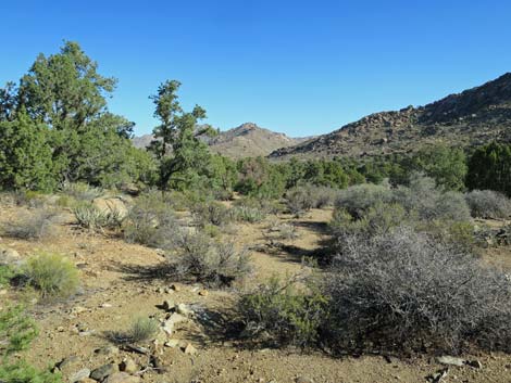 Shark Tooth Peak