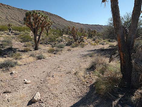 Uranium Mine