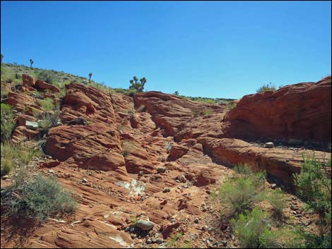 Whitney Pocket Overlook Trail