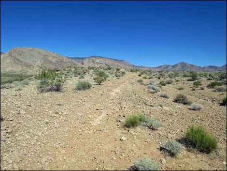 Whitney Pocket Overlook Trail