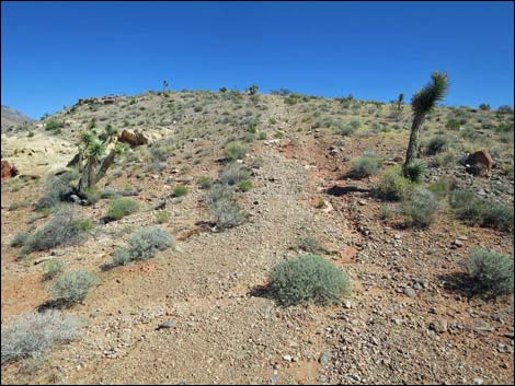 Whitney Pocket Overlook Trail