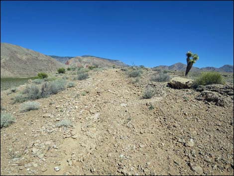 Whitney Pocket Overlook Trail