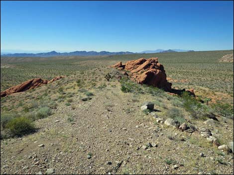 Whitney Pocket Overlook Trail