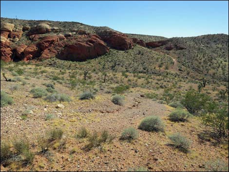 Whitney Pocket Overlook Trail