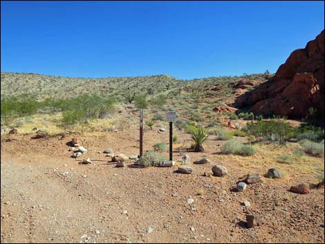 Whitney Pocket Overlook Trail