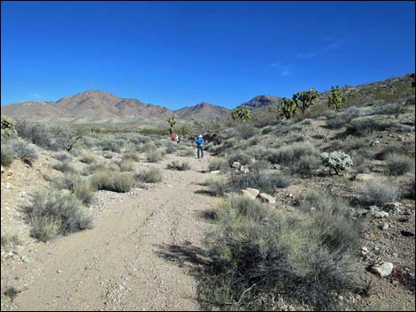 Wechech Basin Loop