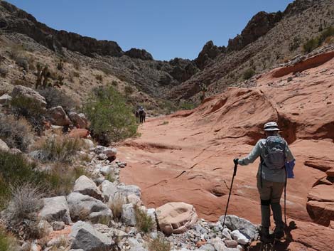 Whitney Wash