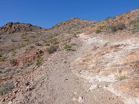 Red Mountain Overlook Trail