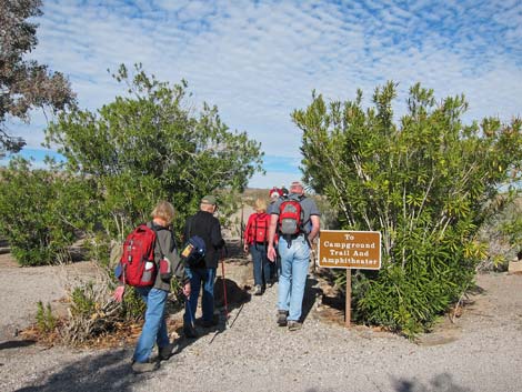 Bluff Trail